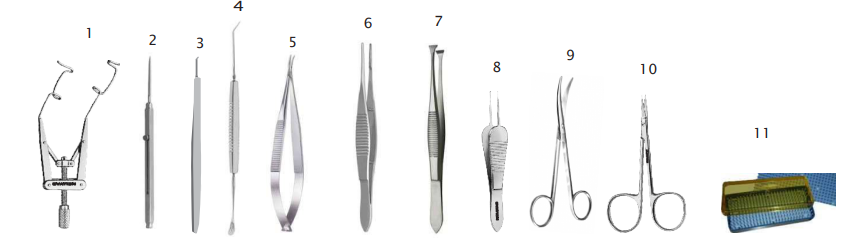 Microsurgery Pterygium Set